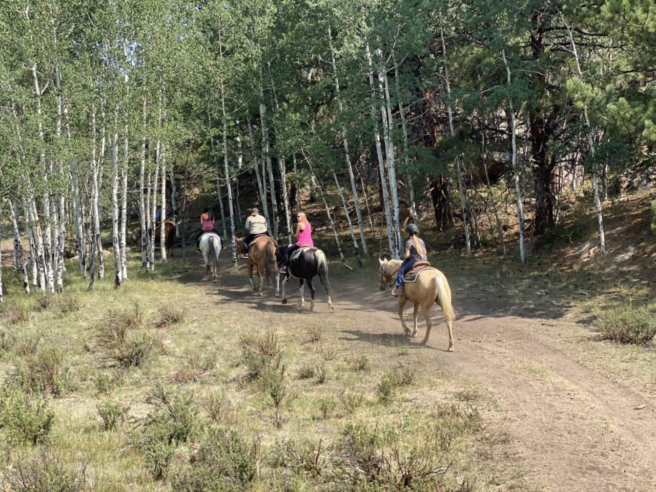 Horseback Riding - M Lazy C Ranch